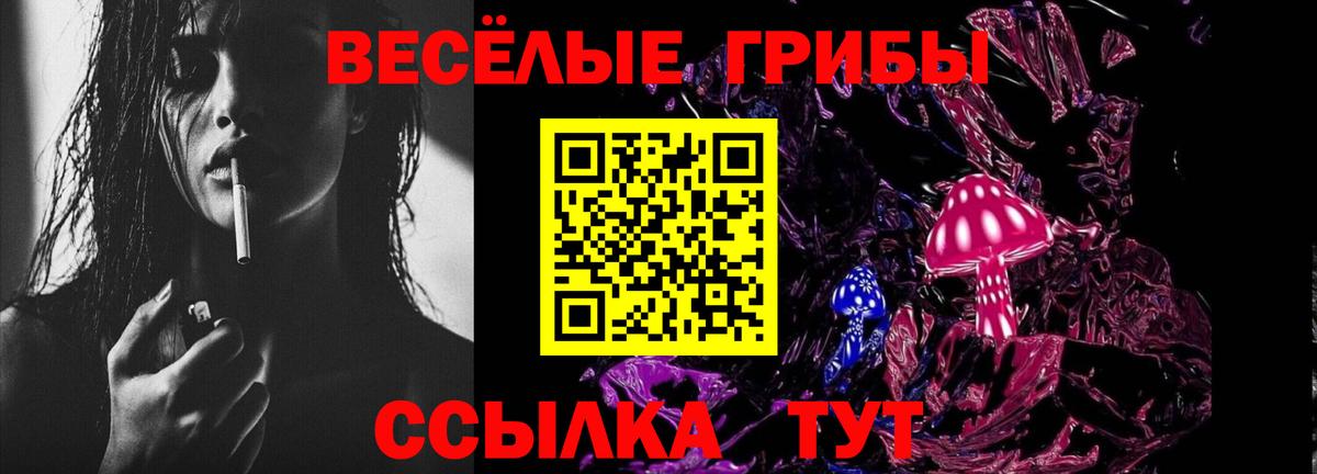 Галлюциногенные грибы прущие грибы Елец